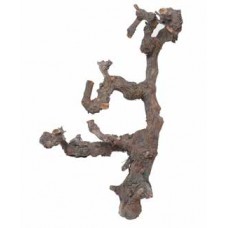 GRAPEWOOD BRANCHY Natural 12"- (FOB CA) 